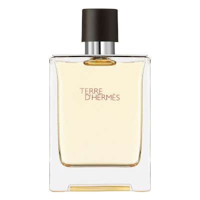 men cologne terre dhermes hermes