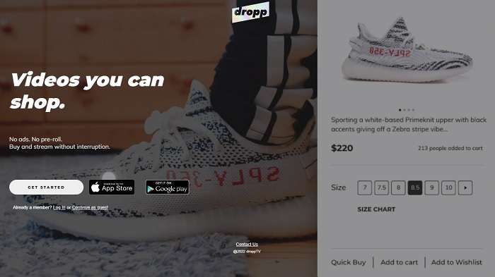 Best Sites To Buy Rare Sneakers Dropp