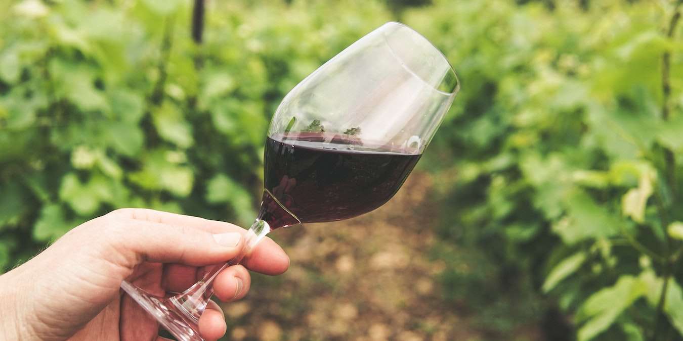 Person Sampling Wine Types at a Vineyard