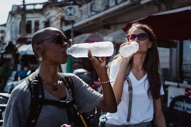 Water Friends Drinking